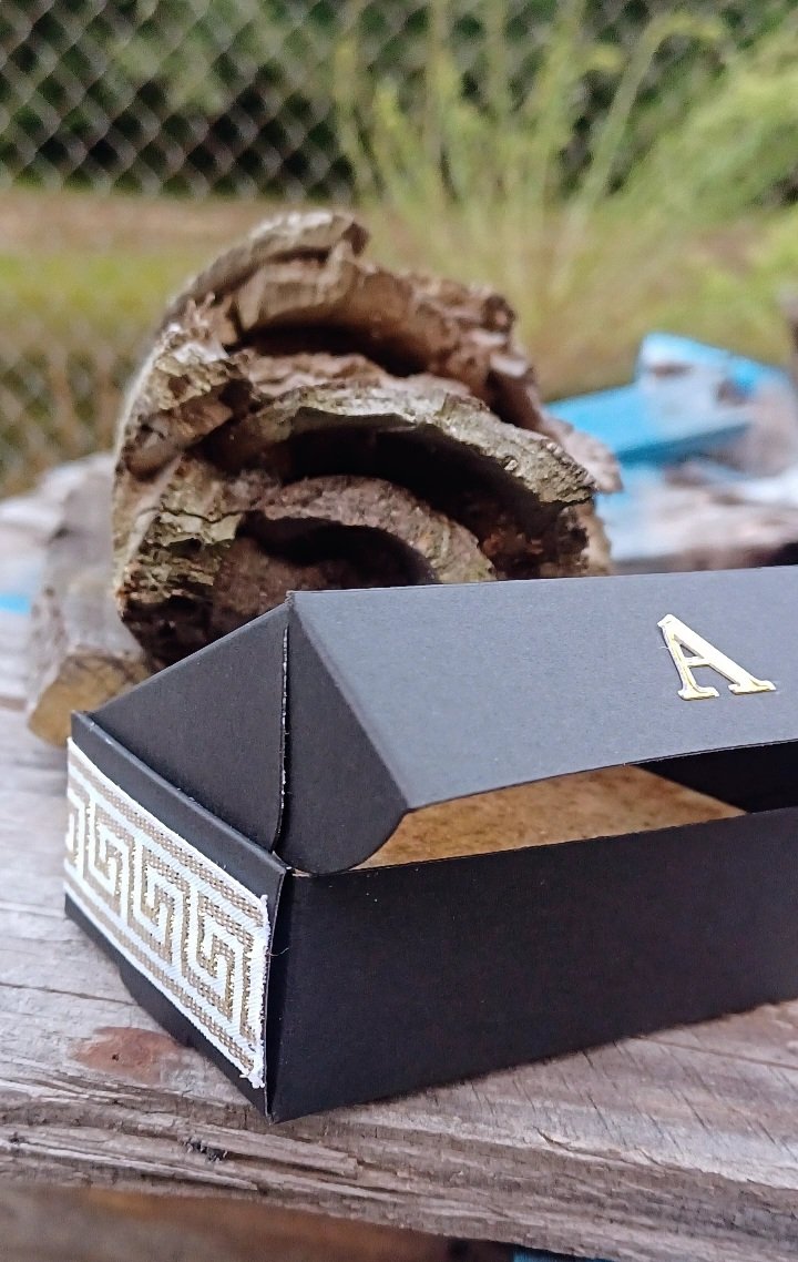 The APSTERGO matte-black box open on a wooden surface, gold A on the lid and Greek key trim on the side